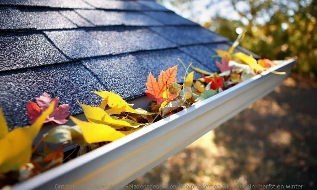 Seizoensgebonden rioolproblemen Nieuwegein: herfst en winter